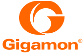 gigamon gigamon