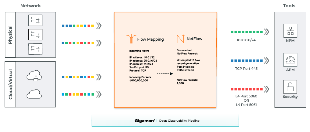 NetFlow and Metadata Generation