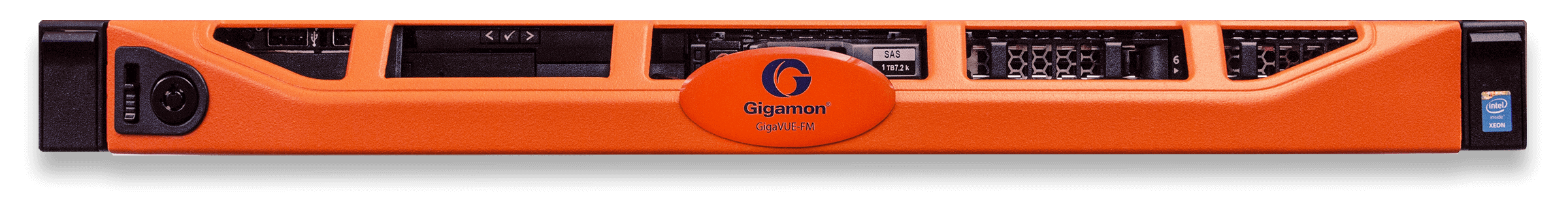 GigaVUE-FM