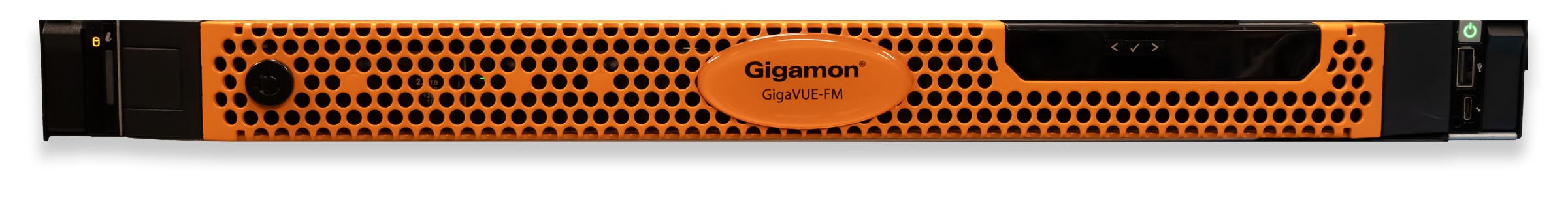 GigaVUE-FM