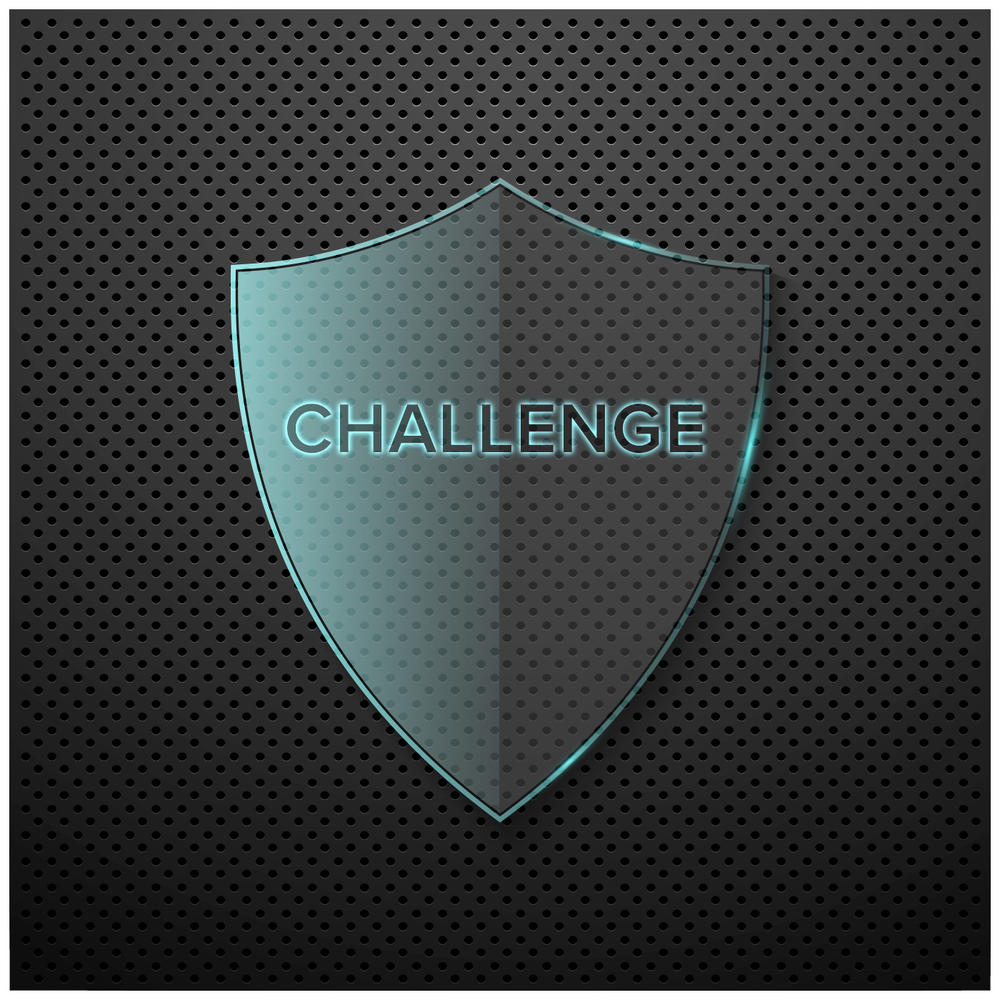cyber challenge